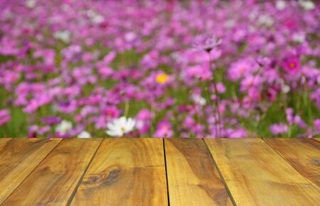 blurred image wood table and abstract cosmos flowers fieldの写真素材