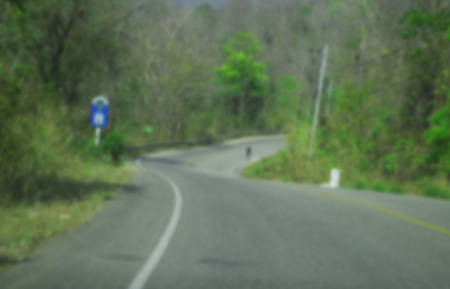 blurred image small asphalt road passing through the forestの写真素材
