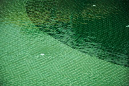 mosaic of the swimming pool  of green