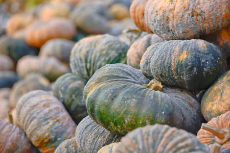 thai rotten pumpkin stack