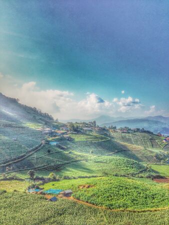 MonCham ChiangMai Thailandの素材