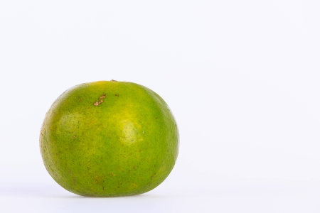 tangerine peel species of green yellow-orange color when cooked in sweetened juice chilled drink...