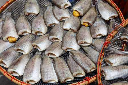 sex headless fish drying in the sun for cooking or saleの写真素材