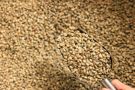 close up and selective focus coffee beans drying process on scoop equipment, coffee grain blured...