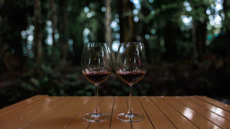 2 Wine glasses on the table in camping nature at twilight. by the stream.の写真素材