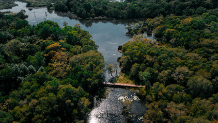 red bridge and wetland at Rayong botanic garden, rayong province thailand, aerial view.の写真素材