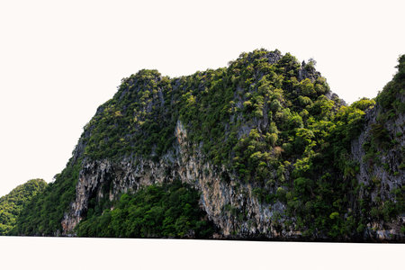 Green mountain isolated on white background in the rain season.の写真素材