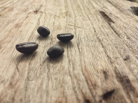 Fresh Coffee Seedsの写真素材
