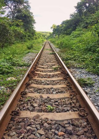 Railways amidst nature and forestsの写真素材