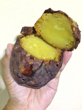 Japanese roasted sweet potato, yakiimoの写真素材