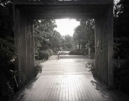 Black and white walk to door in the natureの写真素材