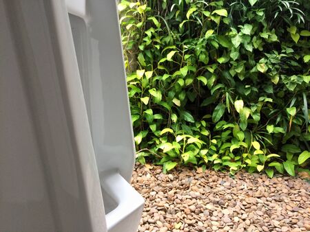 View Toilet style together with natureの写真素材