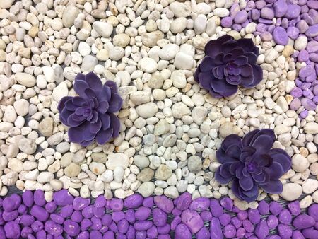 Round stones and flower Purpleの写真素材