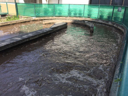 System waste water treatment pond.の写真素材