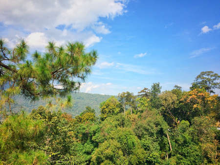 Countryside landscape at Chiangmai province Northern Thailand.の写真素材