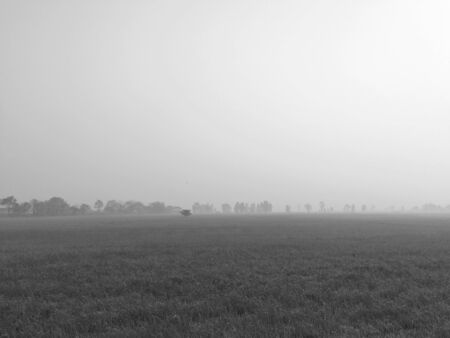 View landscape countryside rice field on nature.の写真素材