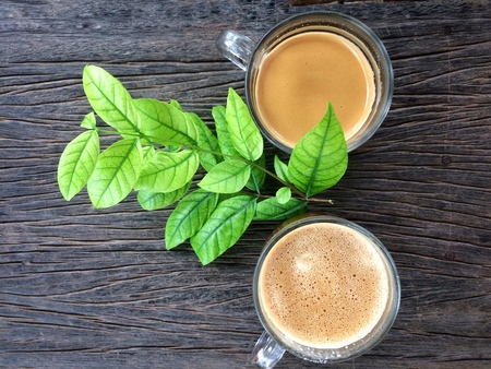 Coffee hot espressoの写真素材