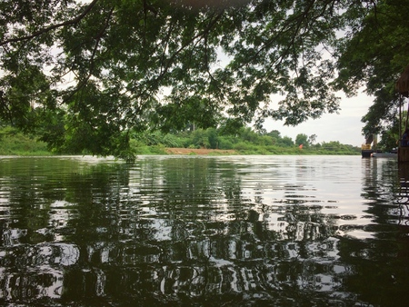 Landscape River in nature treeの写真素材
