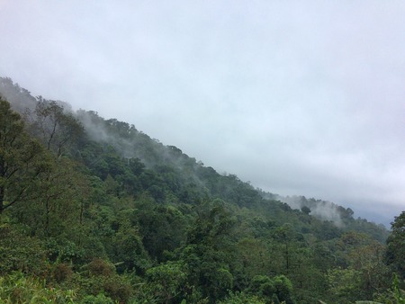 View landscape in forest mountain