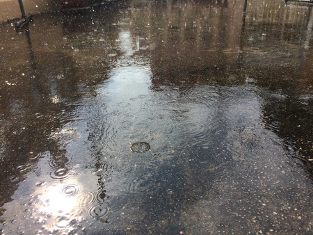 Rain fall on the ground in rain season.の写真素材