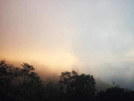 Sunset light fog in the forest mountain of view landscape natureの写真素材