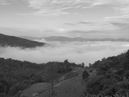 fog in the forest mountain of view landscape natureの写真素材