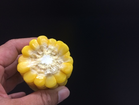 ears of sweet corn on black backgroundの写真素材
