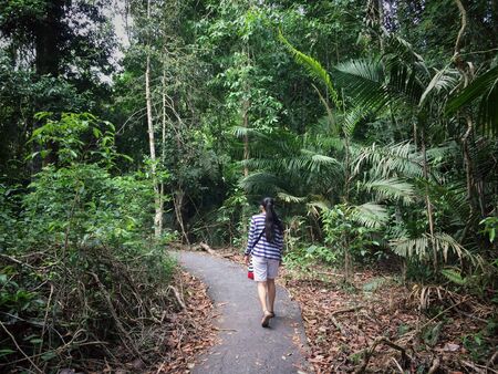 A woman walk through the nature forestの写真素材