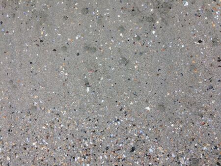 Shells in the sand on the beach background. Beach texture.の写真素材