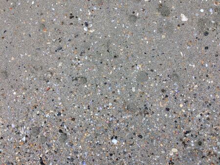 Shells in the sand on the beach background. Beach texture.の写真素材