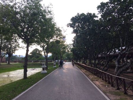Lifestyle cycling in sukhothai historical park.の写真素材