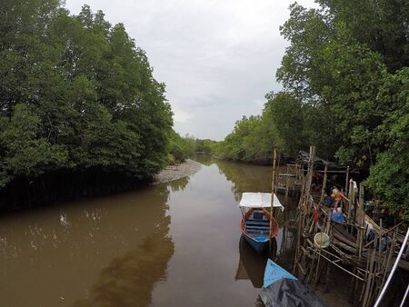 Fishing boat of villagers parked in the mangrove forestの写真素材