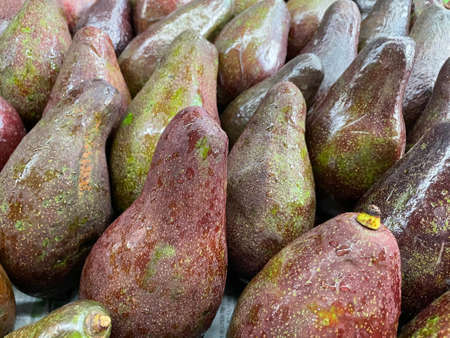 Fresh fruit avocados can be used in both savory and sweet dishes and are also a healthy food.の写真素材
