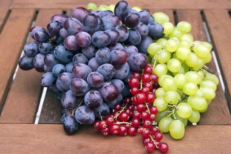 Pigeons and currant wine on a tableの写真素材