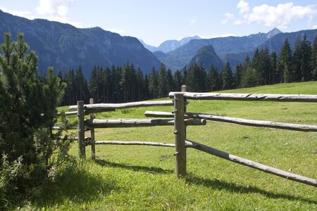 Fence in a meadow in the Alpsの写真素材