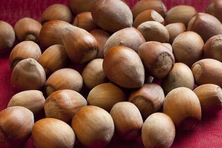 Many small hazelnuts are superimposedの写真素材