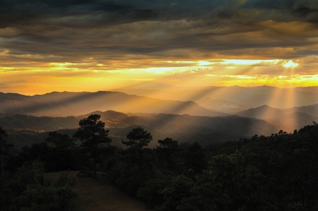 Sunbeam over the wide forest at Chiangmai, Thailandの写真素材
