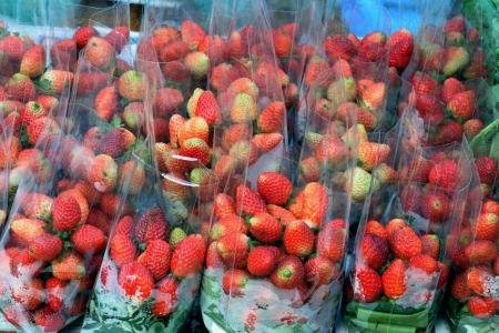 Fresh ripe strawberryの写真素材