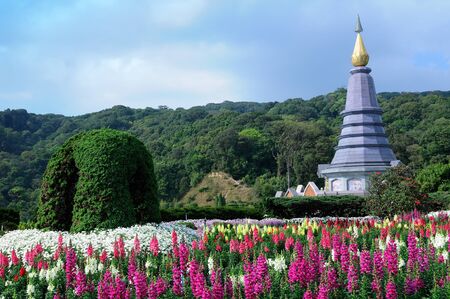 The pagoda - Chiangmai, Thailandの写真素材
