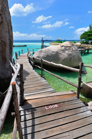 Tropical Island, the wooden bridge at a beautiful beach on sunny day, Koh NangYuan, Thailand の写真素材