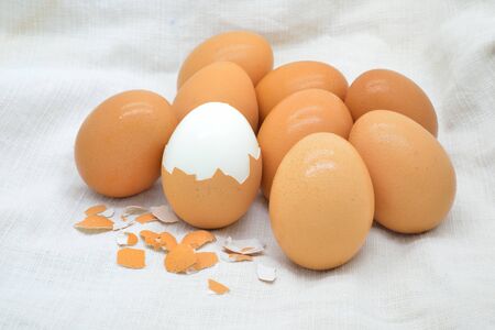 Boiled egg on cloth