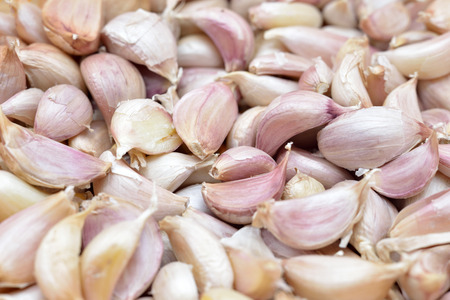 Dried garlicの写真素材