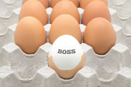 eggs with a boss text