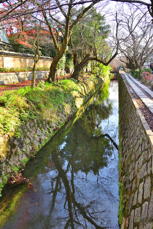 Philosopher's Path at Kyotoの写真素材