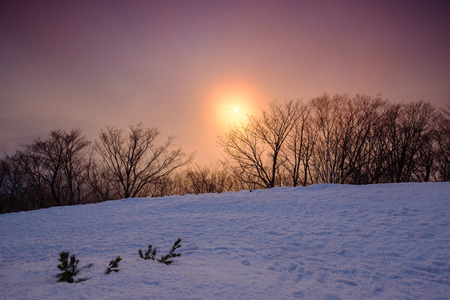 Sunset view on the top of Moiwa mountain in winter snowの写真素材