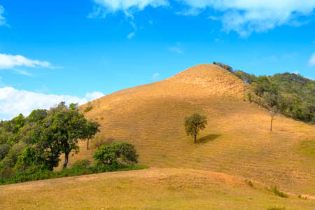 Mon Kong Kao summit, mountain trail in maehongson province, Thailandの写真素材