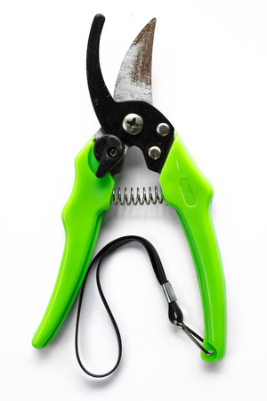 gardening secateurs for cutting branches isolated on white backgroundの写真素材