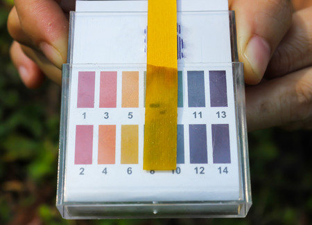 Litmus ph test paperisolatedの写真素材