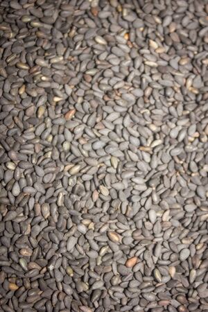 Closeup of lots of toasted sesame seedsの写真素材