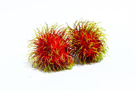 Fresh rambutanの写真素材